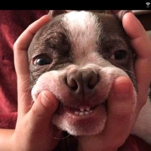 Meet your Posher, Amber